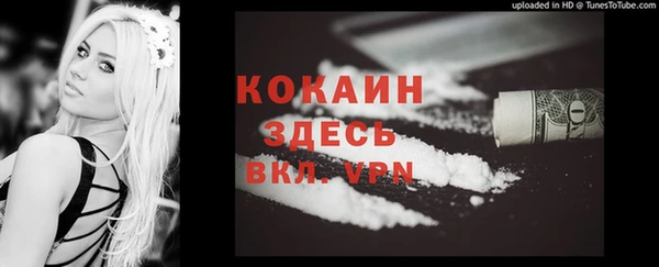 твердый Белокуриха